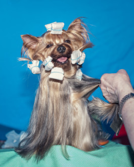 Norwegian Photography Now